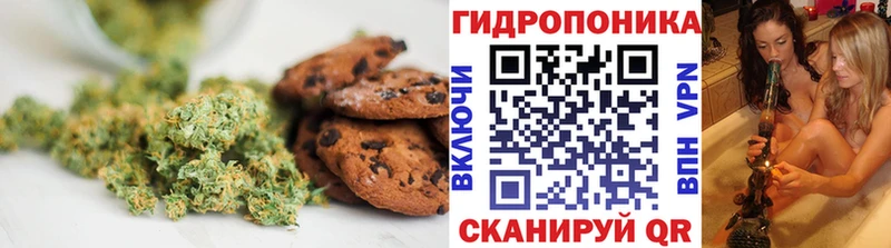 Cannafood марихуана  Голицыно 
