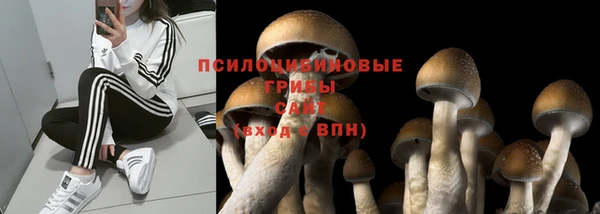 а пвп мука Верея