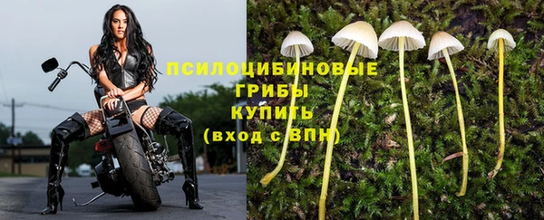 ALPHA-PVP Волоколамск