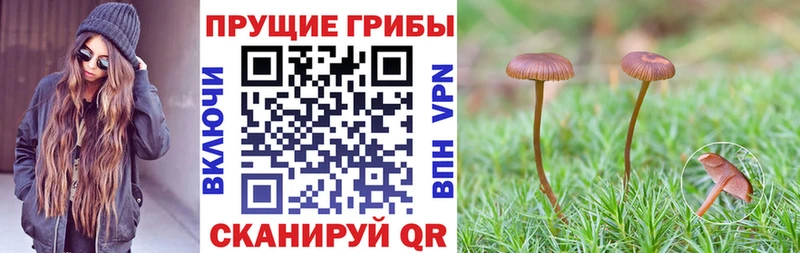 Псилоцибиновые грибы мухоморы  Голицыно 